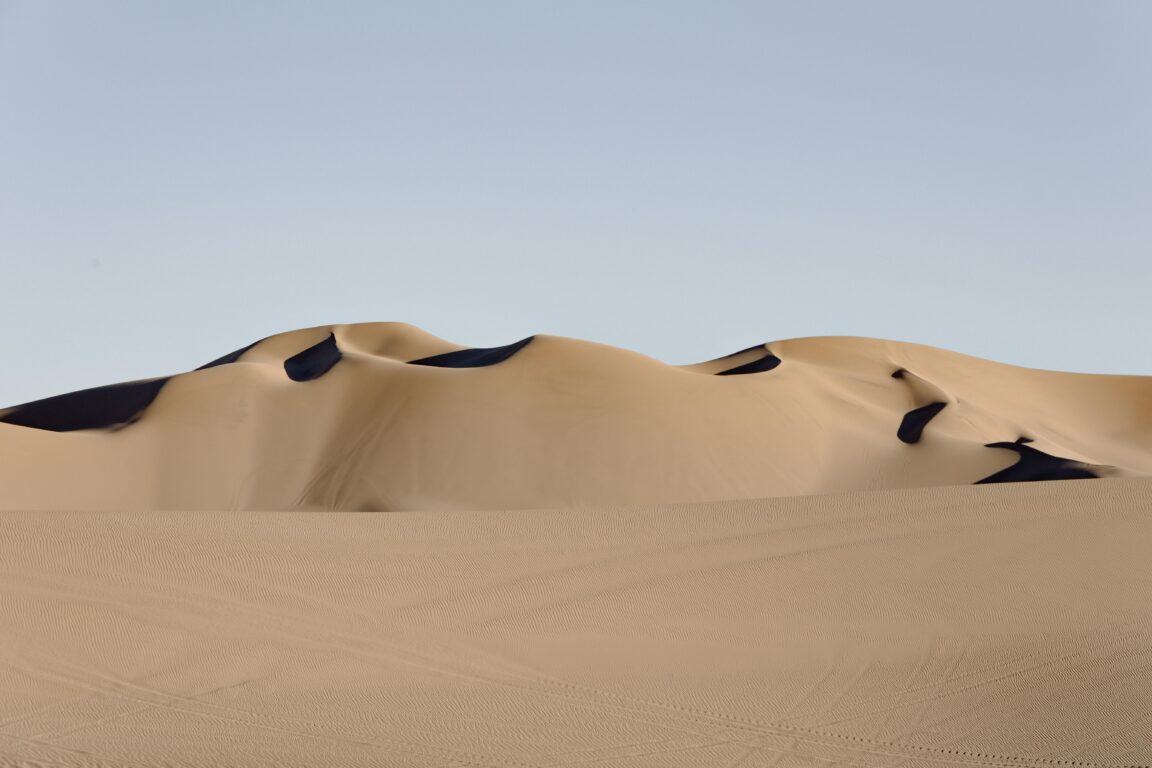 foto I ragazzi si sentono fragole nel deserto